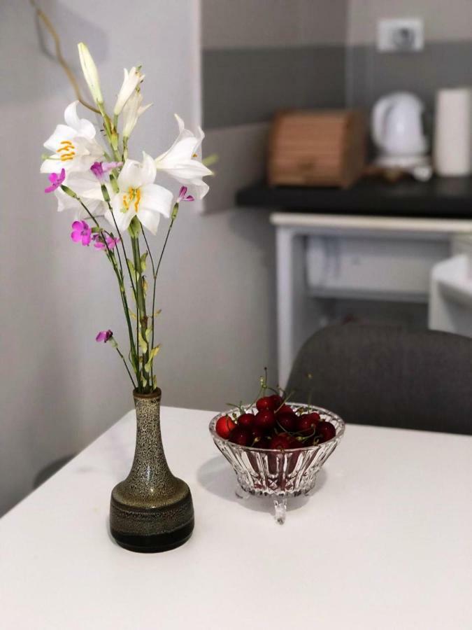 Monte B. Exclusive Apartment Rovinj Kültér fotó